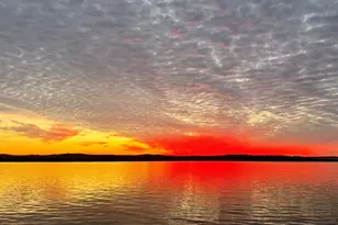 110 Lakeview Dr, Fort Gaines, GA 39851 - Photo 37