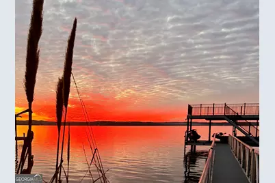 110 Lakeview Drive, Fort Gaines, GA 39851 - Photo 29