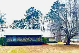 110 Lakeview Dr, Fort Gaines, GA 39851 - Photo 5