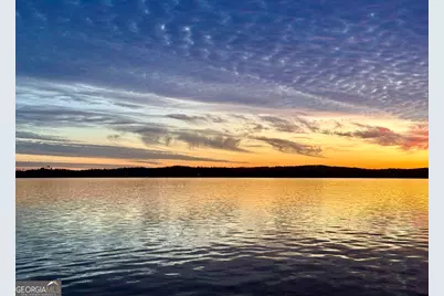 110 Lakeview Drive, Fort Gaines, GA 39851 - Photo 35