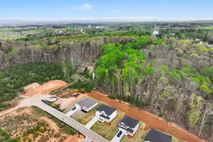 284 Thunder Valley, Dawsonville, GA 30534 - Photo 45