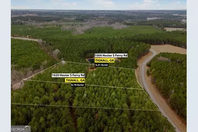 1004 Hesters Ferry Road, Tignall, GA 30668 - Photo 9