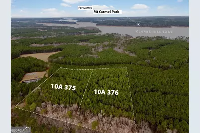 1004 Hesters Ferry Road, Tignall, GA 30668 - Photo 7