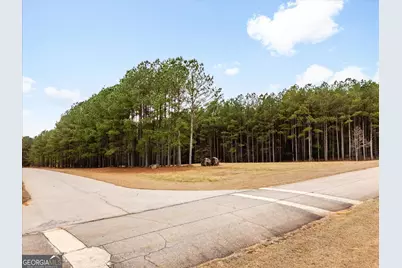 1068 Hesters Ferry Road, Tignall, GA 30668 - Photo 5