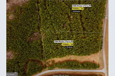 1068 Hesters Ferry Road, Tignall, GA 30668 - Photo 1