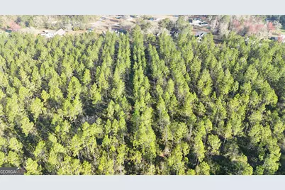 0 Robin Lane, Homeland, GA 31537 - Photo 3