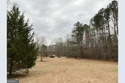 20229 Ga Highway 34, Franklin, GA 30217 - Photo 11