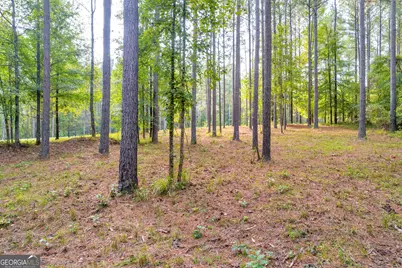 1130 Apalachee Meadows Drive, Madison, GA 30650 - Photo 7