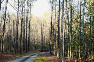 175 Marron Rd, Fayetteville, GA 30215 - Photo 15