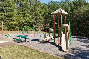 297 Walden Pond Trail, Senoia, GA 30276 - Photo 49