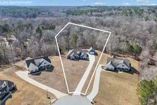 297 Walden Pond Trail, Senoia, GA 30276 - Photo 3