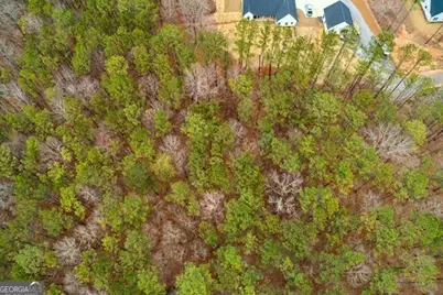 4243 Harmony Grove Church Road, Dallas, GA 30132 - Photo 3