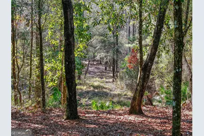 279 Mid River Rd, White Oak, GA 31568 - Photo 47