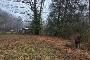 5134 Boardtown Rd, Ellijay, GA 30540 - Photo 13