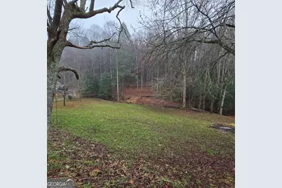 5134 Boardtown Road, Ellijay, GA 30540 - Photo 9