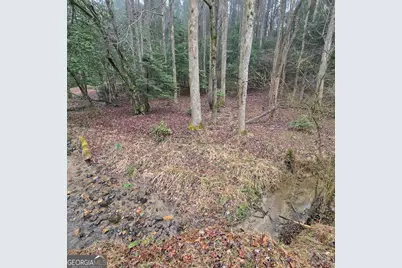 5134 Boardtown Road, Ellijay, GA 30540 - Photo 17