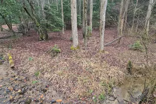 5134 Boardtown Rd, Ellijay, GA 30540 - Photo 17