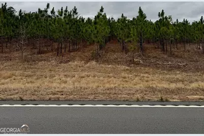 2150 Buena Vista Highway, Mauk, GA 31058 - Photo 11