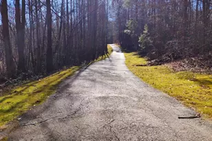 136 Baldwin Ct, Newnan, GA 30263 - Photo 39