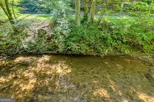 15105 Hwy 19 N, Cleveland, GA 30528 - Photo 41