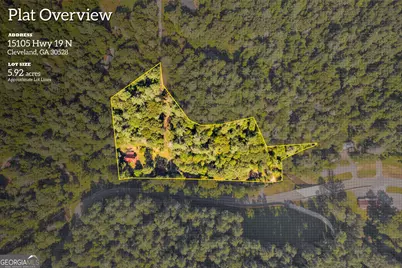 15105 Highway 19 N, Cleveland, GA 30528 - Photo 5