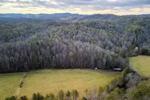 3771 Gates Chapel Rd, Ellijay, GA 30540 - Photo 11