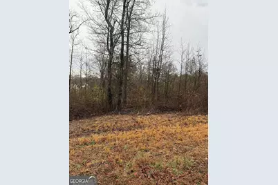 874 Forrester Cemetery Road, Covington, GA 30014 - Photo 1