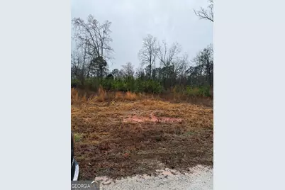 874 Forrester Cemetery Road, Covington, GA 30014 - Photo 3