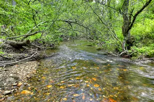 14092 Big Creek Rd, Cherrylog, GA 30522 - Photo 9