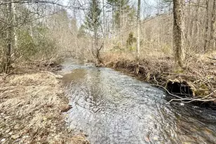 14092 Big Creek Rd, Cherrylog, GA 30522 - Photo 23