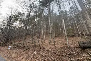 14092 Big Creek Rd, Cherrylog, GA 30522 - Photo 25