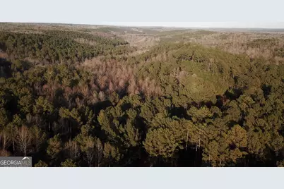 0 - Tract 2 Mt Zion Church Road, Whitesburg, GA 30185 - Photo 1