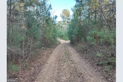 0 - Tract 2 Mt Zion Church Road, Whitesburg, GA 30185 - Photo 21