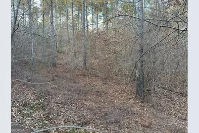 0 - Tract 2 Mt Zion Church Road, Whitesburg, GA 30185 - Photo 23