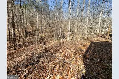 209 Wesley Mill Lane, Villa Rica, GA 30180 - Photo 17