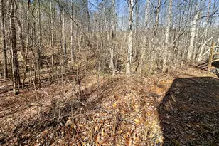 209 Wesley Mill Ln, Villa Rica, GA 30180 - Photo 17