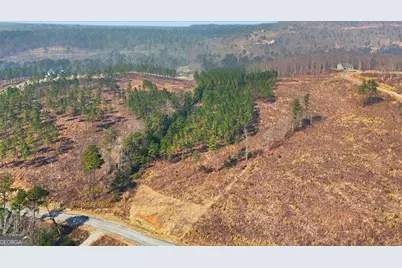 0 Highgrove Drive, Talking Rock, GA 30175 - Photo 3