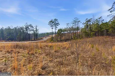 0 Highgrove Drive, Talking Rock, GA 30175 - Photo 17