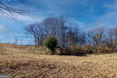 Tract 1 - 0 St. Paul Church Road, Shiloh, GA 31826 - Photo 7