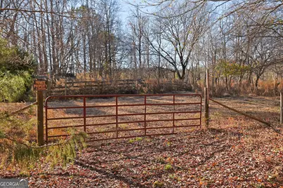 Tract 1 - 0 St. Paul Church Road, Shiloh, GA 31826 - Photo 3