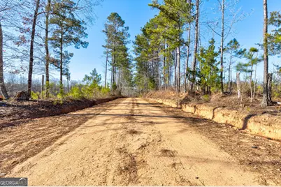 Tract 1 - 0 St. Paul Church Road, Shiloh, GA 31826 - Photo 9