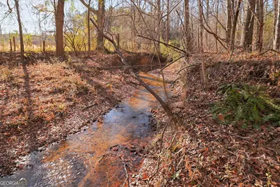 Tract 2 - 0 St. Paul Church Road, Shiloh, GA 31826 - Photo 15