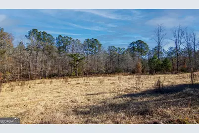 Tract 2 - 0 St. Paul Church Road, Shiloh, GA 31826 - Photo 13