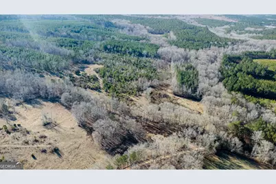 Tract 2 - 0 St. Paul Church Road, Shiloh, GA 31826 - Photo 9