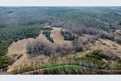 Tract 2 - 0 St. Paul Church Road, Shiloh, GA 31826 - Photo 7