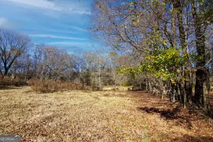 Tract 2 - 0 St Paul Church Rd, Shiloh, GA 31826 - Photo 1