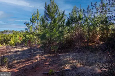 Tract 6 - 0 Chestnut Grove Road, Shiloh, GA 31826 - Photo 11