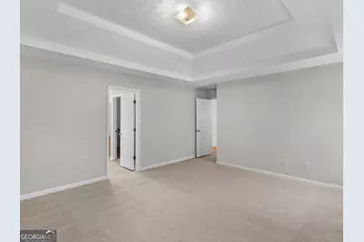 230 Millstone Drive, Hampton, GA 30228 - Photo 37