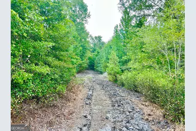 0 Abbeville Highway, Pineview, GA 31001 - Photo 33