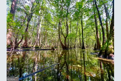 0 Abbeville Highway, Pineview, GA 31001 - Photo 7